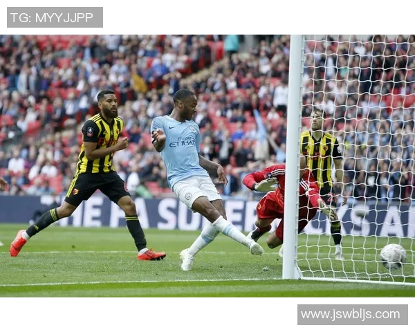 泰尼凭借惊艳表现带领球队夺冠成就新传奇足球生涯